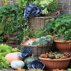 Сульфат Калия: для теплиц, овощей, томатов, картофеля, сада, огорода, винограда Нұр-Сұлтан