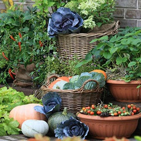 Сульфат Калия: для теплиц, овощей, томатов, картофеля, сада, огорода, винограда Нұр-Сұлтан - сурет 3