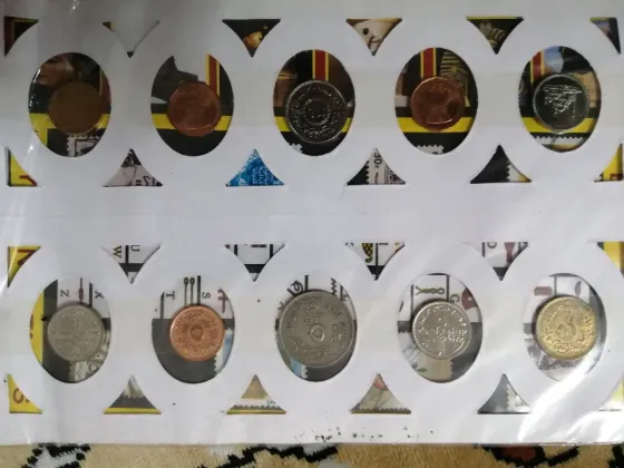 5 злотый номиналы монета лақтырулы мата фонында