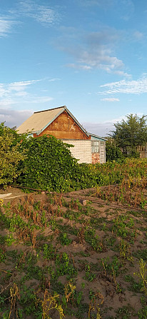 Продам дачу сад Яблонька Павлодар - изображение 8