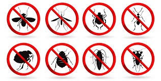 Дезинфекция от вредоностных насекомых Алматы - сурет 1