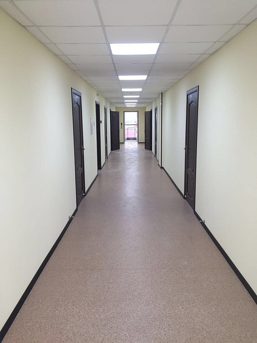 Фасад кирпичного здания с окнами и входной дверью