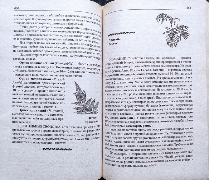 Комнатные цветы – подборка книг_01 Алматы - изображение 8