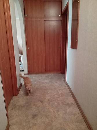 Продам 2-комнатную квартиру Павлодар - изображение 4