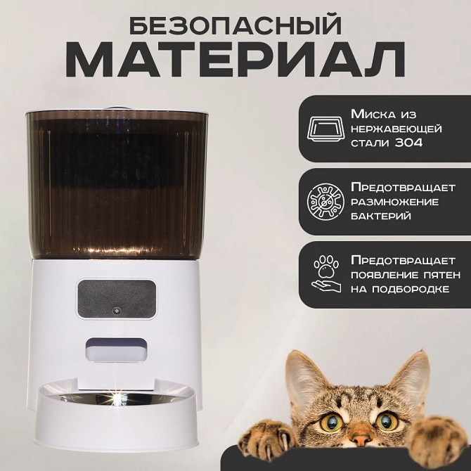 Продам Автоматическая кормушка для кошек и собак для кошек, для собак Астана (Нур-Султан) - изображение 1