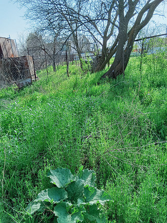 Продам дачу сад рядом от Олимпийская деревня Алматы - изображение 4