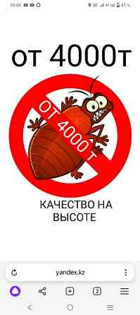 Уничтожение насекомых таракан клопов Астана (Нур-Султан)