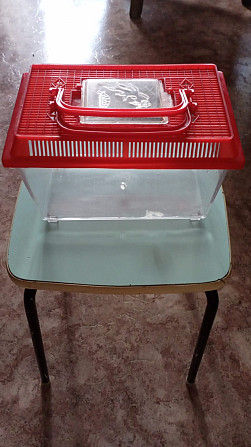 Продам Переноска для хомячка, домик и беговое колесо для грызунов, хорьков Семей - изображение 1