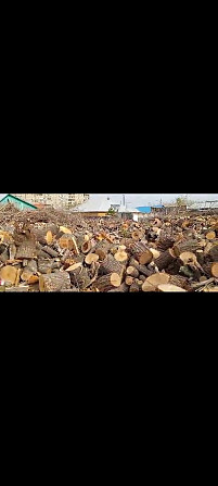 Сату дрова  Павлодар - сурет 1
