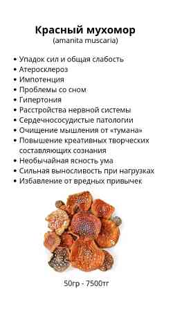 Қызыл бүйрек (Amanita muscaria): денсаулыққа әсері, нерв жүйесін нығайту, шығармашылық ойлауды жақсарту және физикалық жүктемені азайту үшін қолдану т