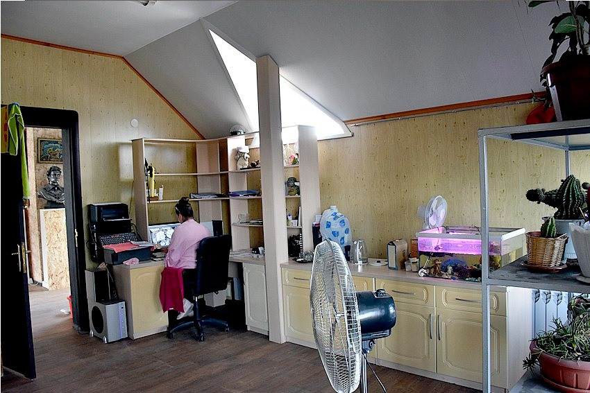 Человек, работающий за компьютером в комнате с растениями