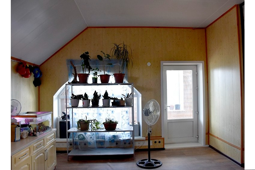 Комната с растениями на полках и дверью