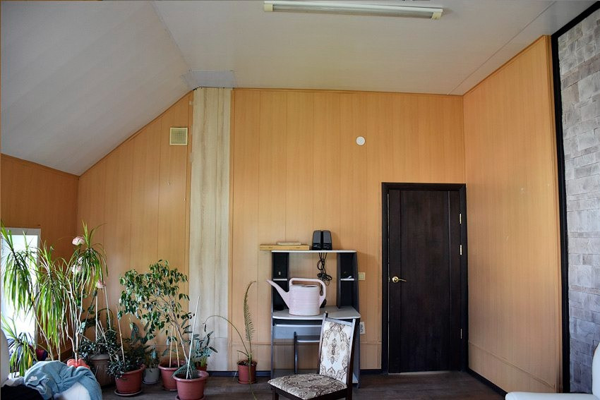 Стена в комнате с растениями и дверью