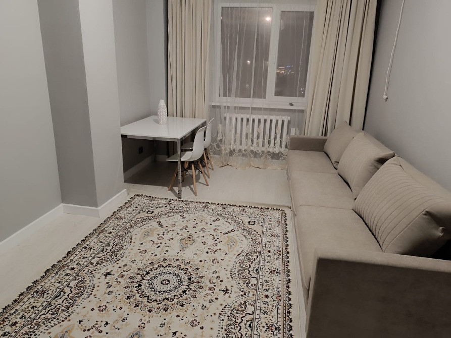 Диван және үстел, еденде кілемі бар қонақ бөлмесі