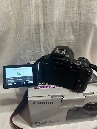 Canon EOS 250D камерасының артқы панелі экранмен, қорап жанында