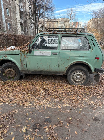 Вид сбоку старого автомобиля, окруженного листвой