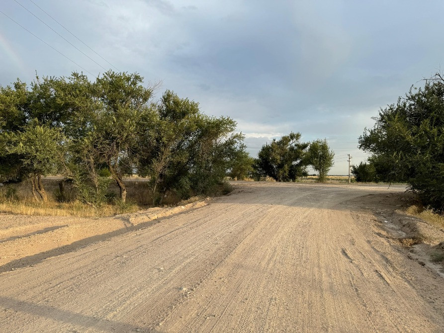 Деревьялармен қоршалған құмды жол