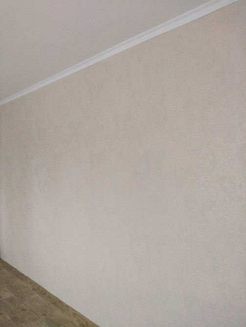 Стена с однотонной окраской в светлых тонах