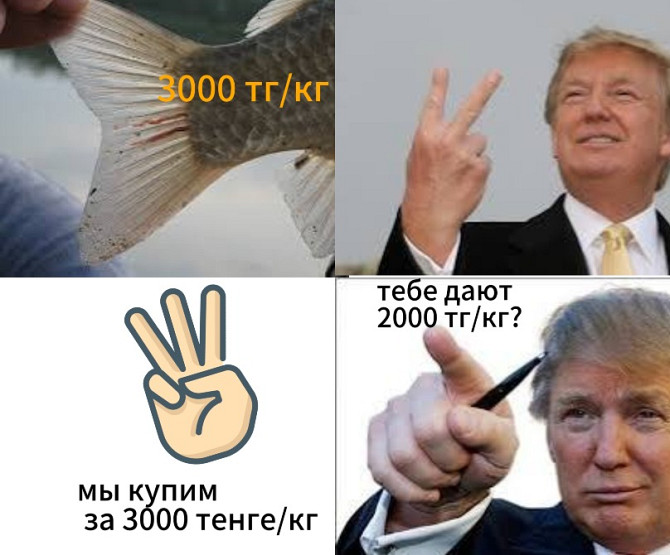 Изображение с рыбой и ценой 3000 тг/кг
