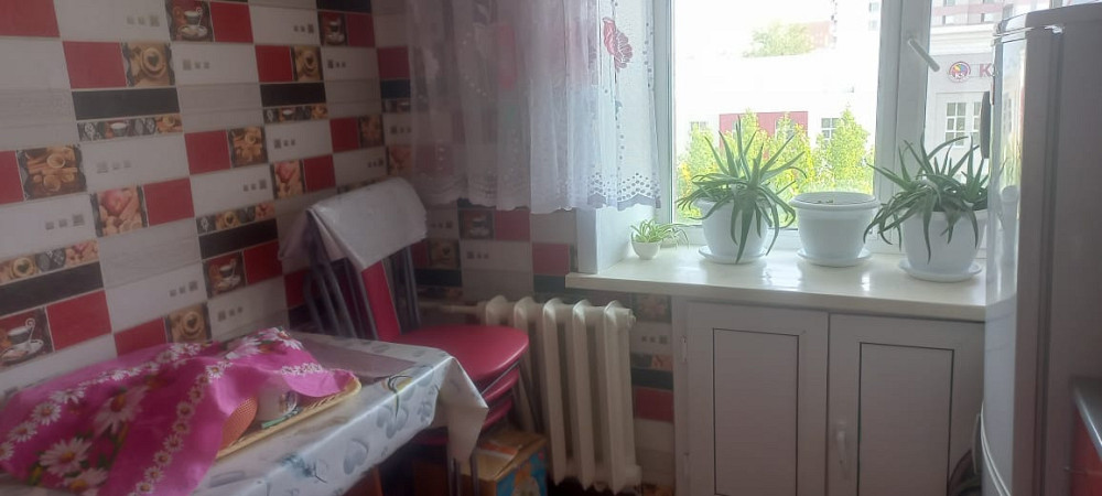 Асхана аймағы үстел, орындықтар және терезе алдындағы өсімдіктермен