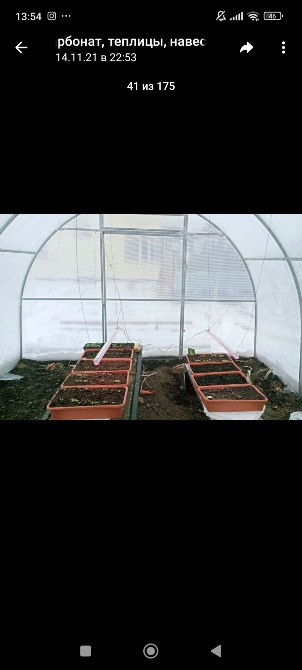 Дайын жоталармен парник ішіндегі көрініс