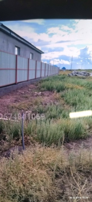 Участок с зелеными растениями рядом с забором