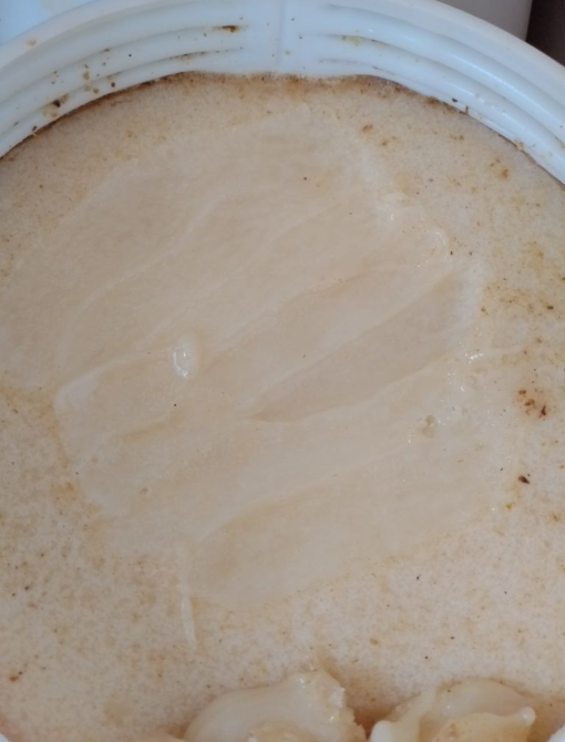 Открытая банка с медом светло-желтого цвета