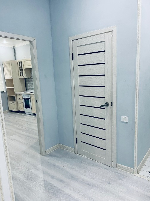 Переходная зона с дверью и стенами светлого цвета