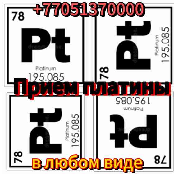 Прием Платины Шымкент