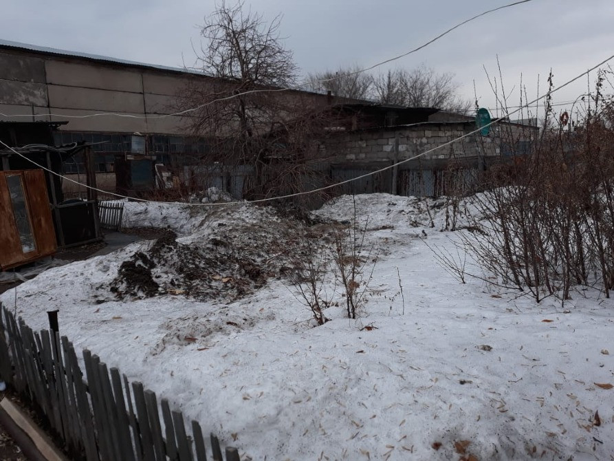 Ақ ұлпалар қалдықтары, бұталар және ескі ғимарат фонында орналасқан аулa