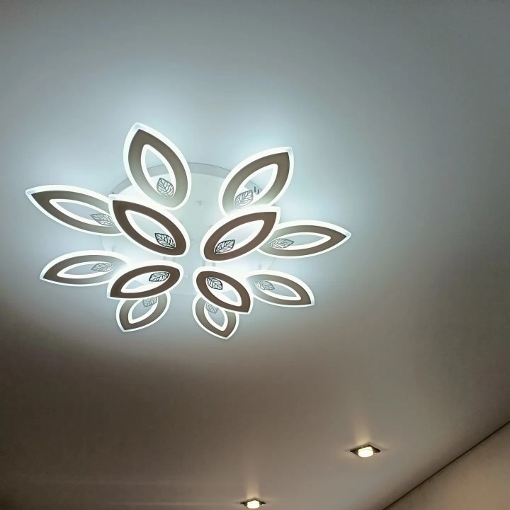 Жұмсақ жарықпен гүл пішіндегі дизайнерлік төбелік люстра
