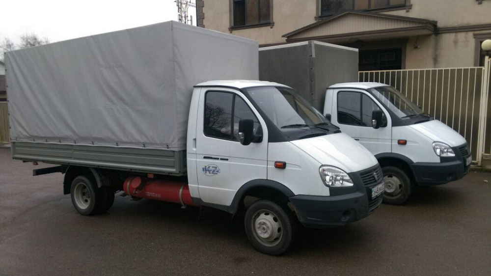 Белые грузовые автомобили с брезентовыми тентами на фоне здания