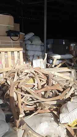 Магазин олени мүйіздерінің сақтаулы қоймасы