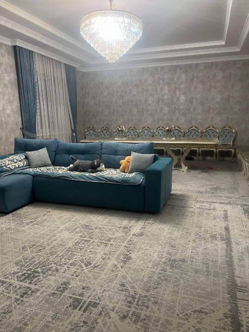 диван мен үстелі бар қонақ бөлме