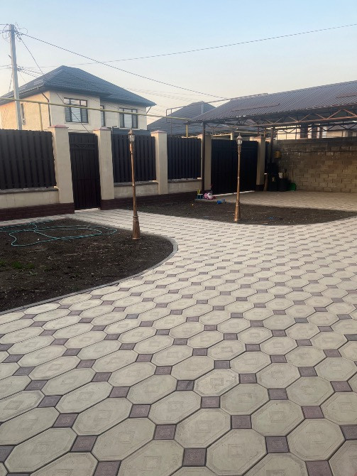 алаптау жолдары бар артқы бақ