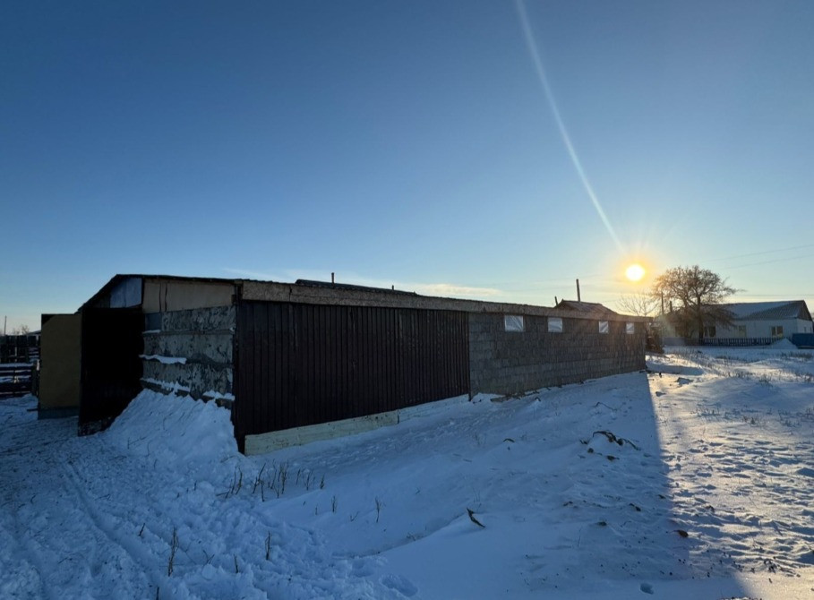 Сторона здания с полуденным солнцем на горизонте