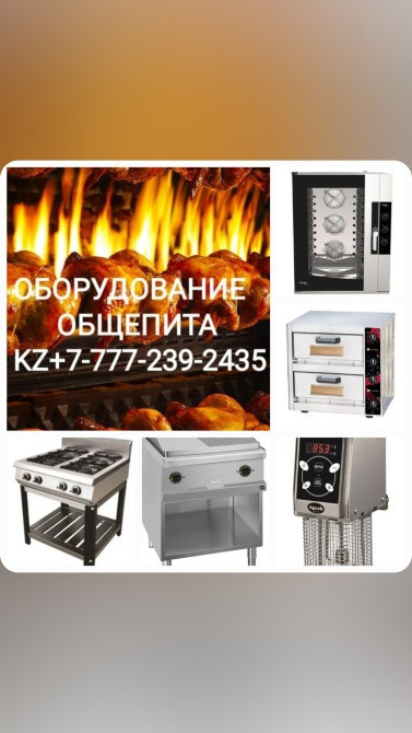 Оборудование для ресторанов, включая плиты и фритюрницы