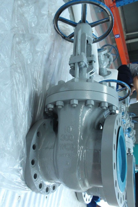 Горизонталь орналасқан шатырлы механизммен кран