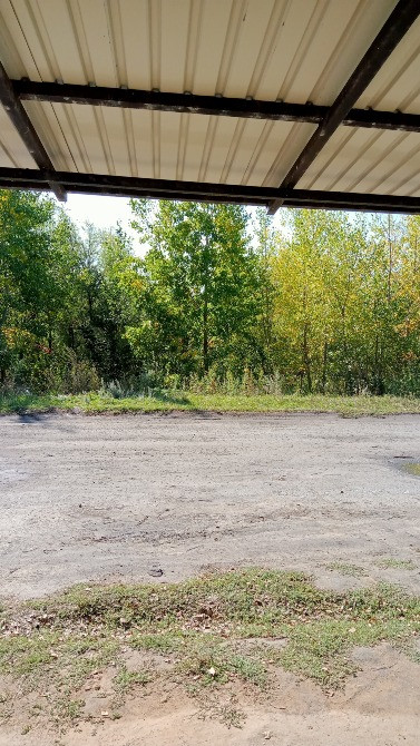 Ғимараттың артындағы жасыл табиғатқа көрініс, partially жабынының астында жасырылған.