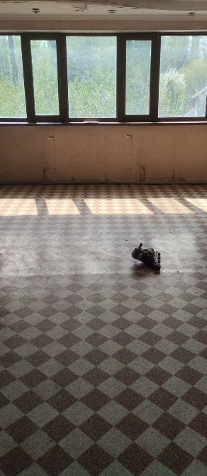 Терезелері бар бос бөлме, еденде күн сәулесінің сызықтары