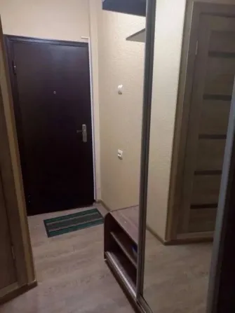 Кіреберіс есігі мен айнасы бар дәліз