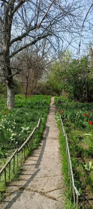 Узкая тропинка между цветами и деревьями