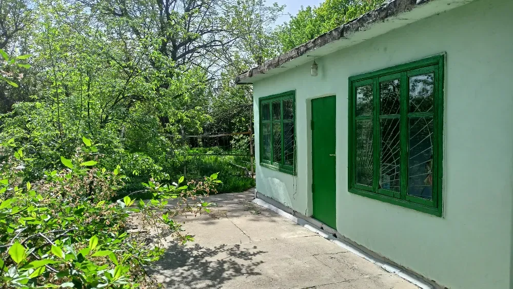 Два окна и зеленая дверь дома, окруженного растительностью