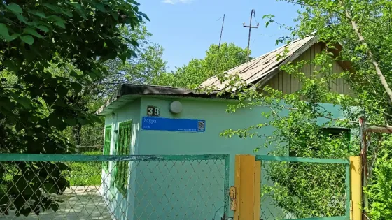 Дом с номером 39, окруженный зеленью