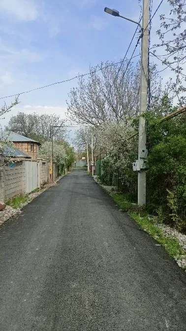 Жасыл ағаштар мен үйлері бар көше