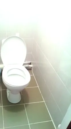 Пейзаж с дикими животными на пастбище