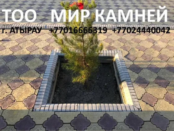 тротуарная плитка вокруг дерева