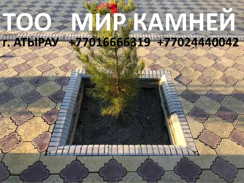 ағаштың айналасындағы тротуар плиткасы