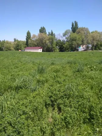 Открытое травяное поле с небольшим зданием и деревьями