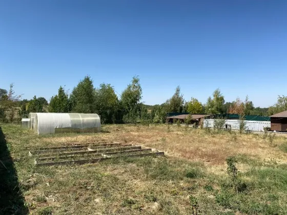 Участок с теплицей и зелеными деревьями под ясным небом